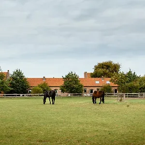 Het Zwaluwnest Hébergement de vacances Middelkerke